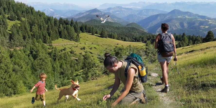 Image d'illustration © LPO PACA